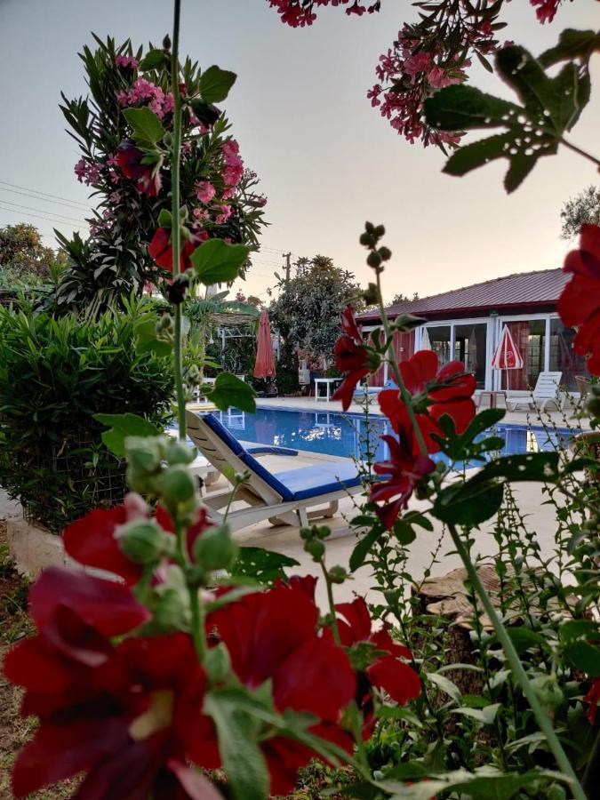 Cc'S Butik Hotel Oludeniz Luaran gambar