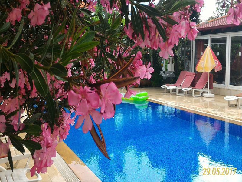 Cc'S Butik Hotel Oludeniz Luaran gambar